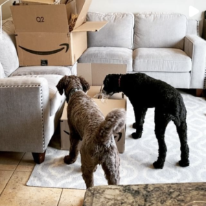 shop amazon with my link