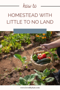 how to homestead with little to no land