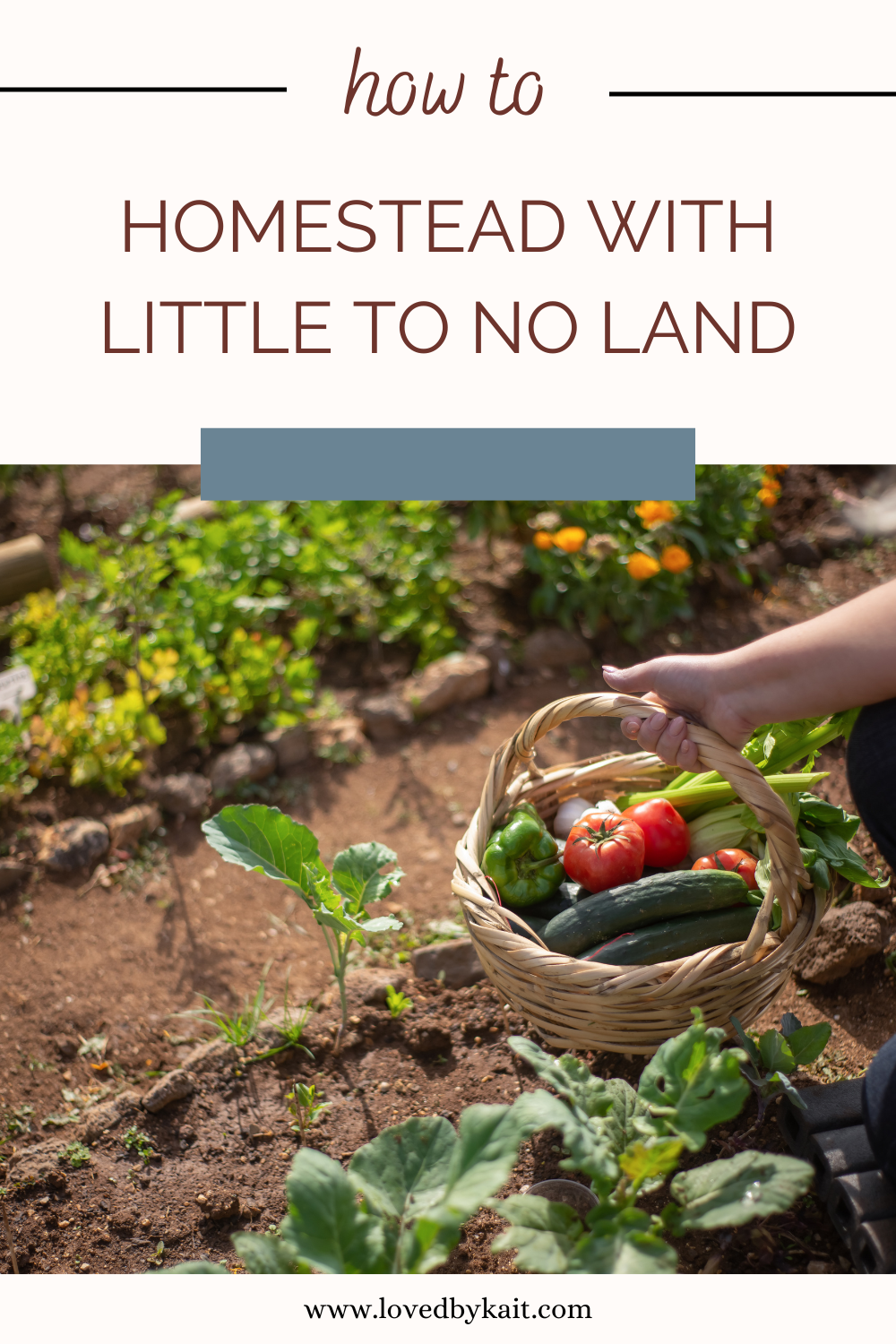 How to Homestead with Little to No Land